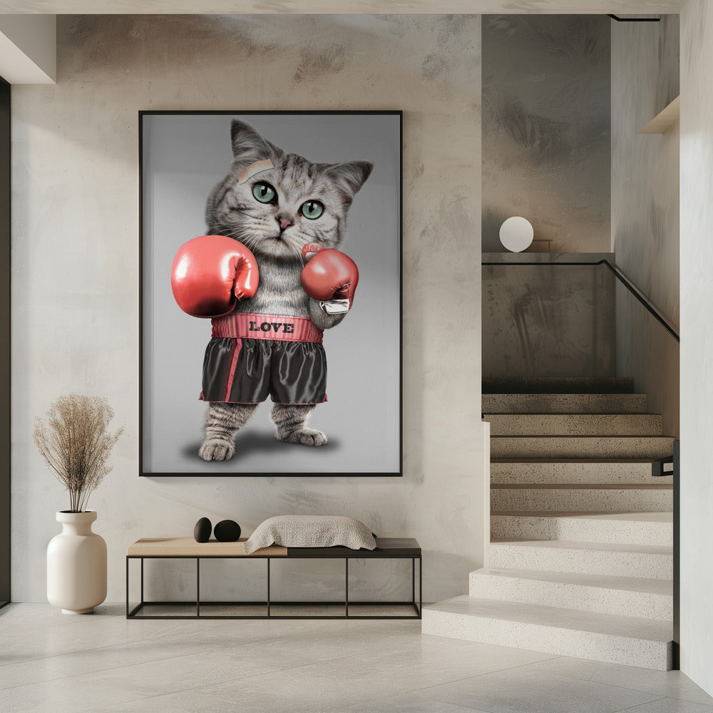 boksende kat | Poster