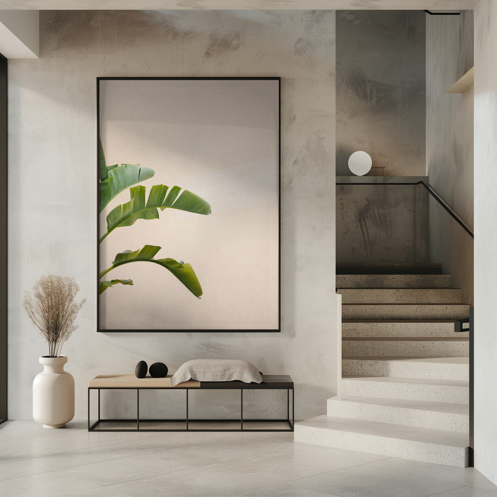 Bananenplant van Cannes | Poster