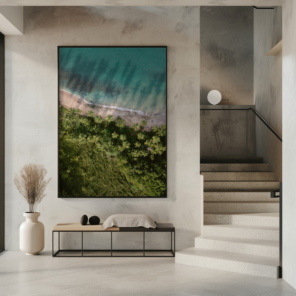 Palm Beach van bovenaf | Poster