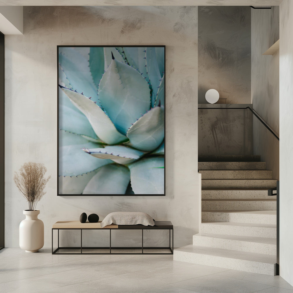 Succulent Green | Poster