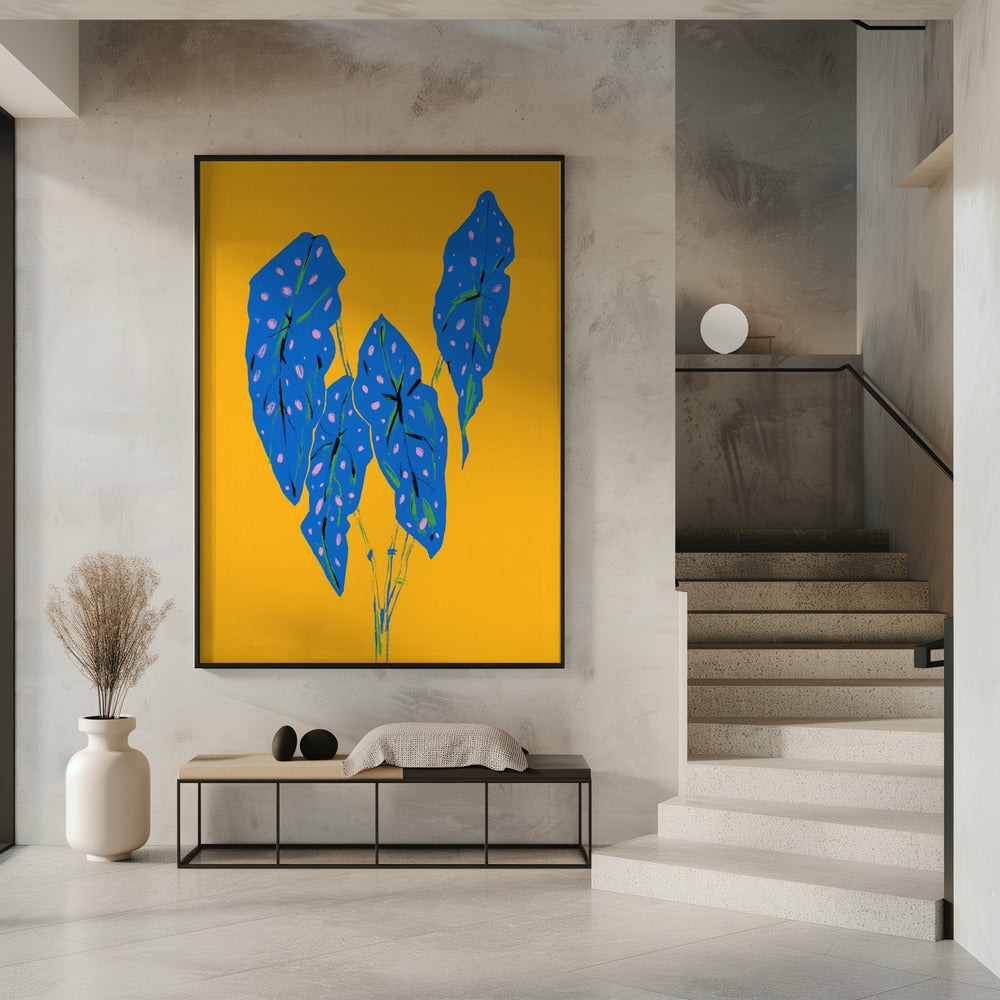 Begonia Maculata Blauw en Geel | Poster