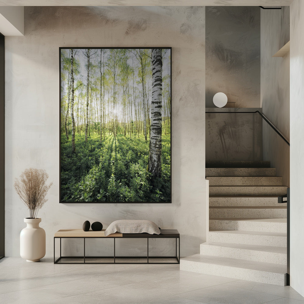 Birch Grove verticaal | Poster