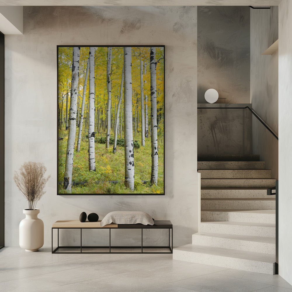 Yellow Birchs vertical | Poster