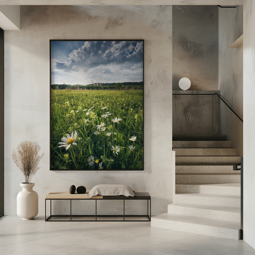 Bloeiende weide | Poster