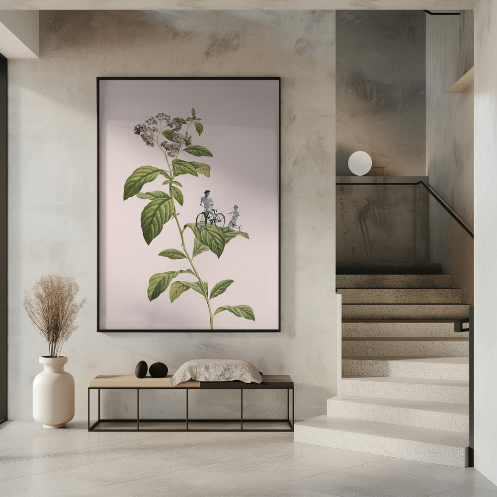 Botanical cycling | Poster