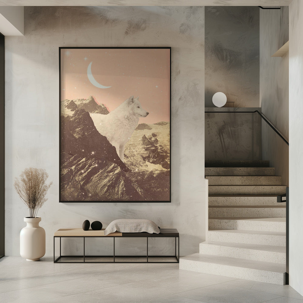 Reuzenwitte wolf in de bergen | Poster