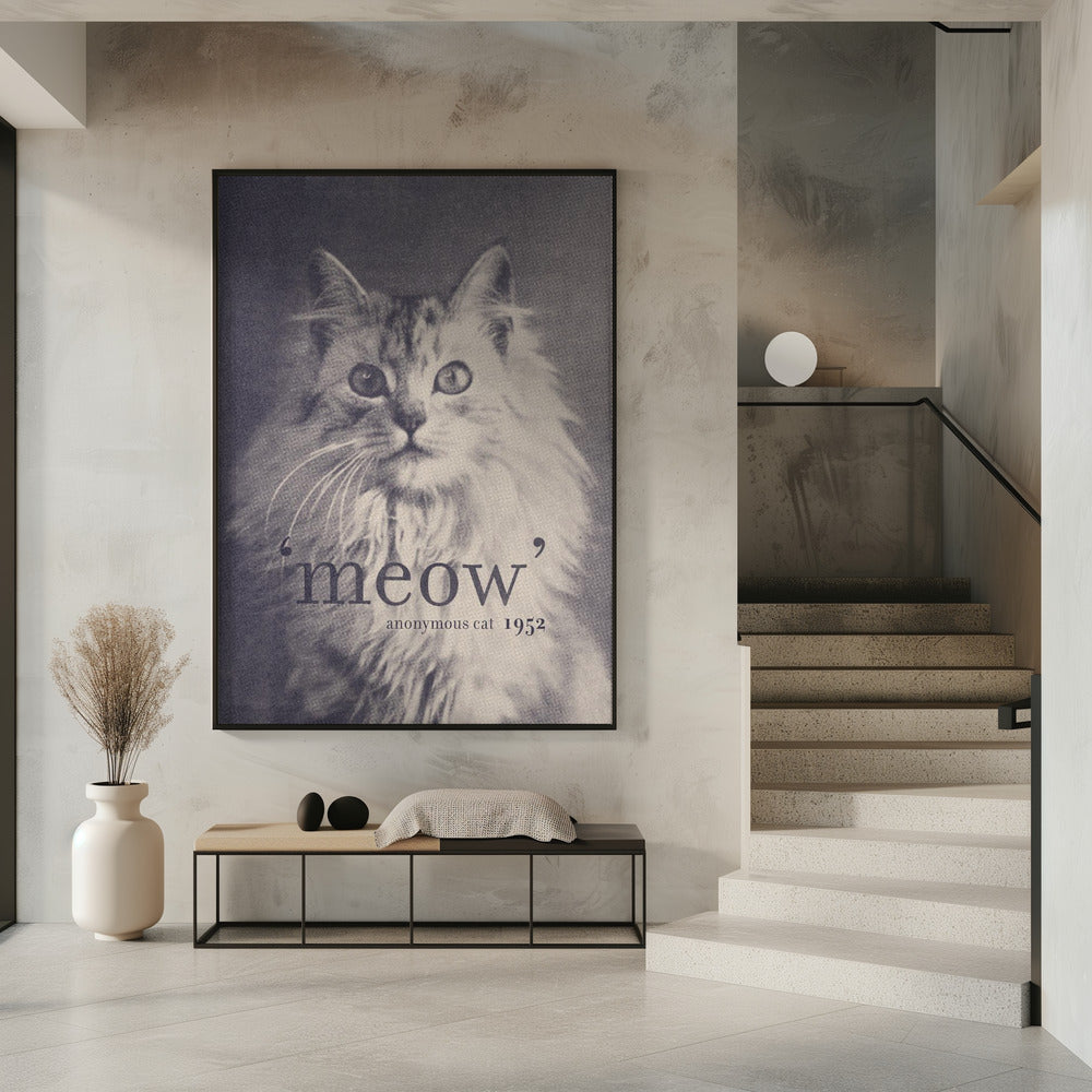 Beroemde Citaat Kat | Poster