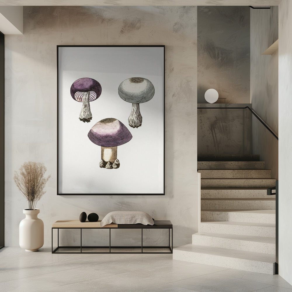 Handdauw Violet Webcap Paddenstoel | Poster