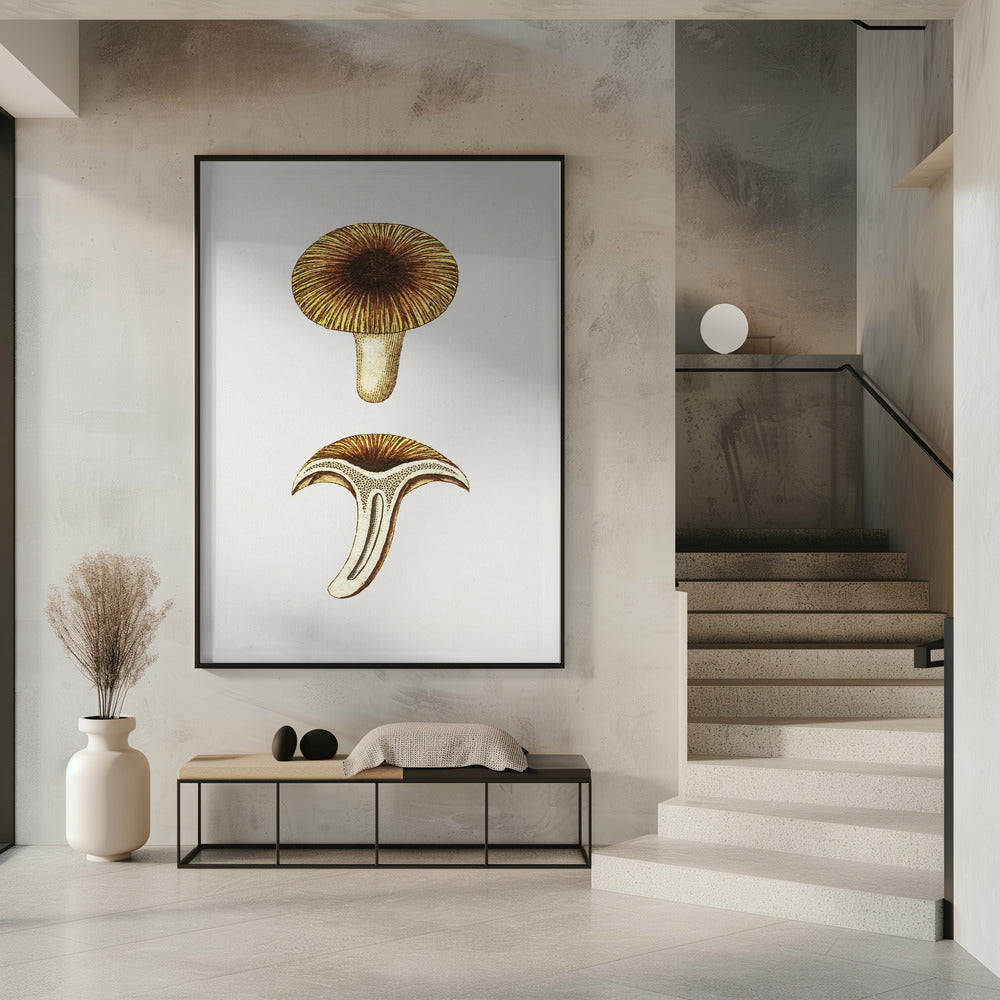 Vintage Cantharellen Eetbare Paddenstoel | Poster