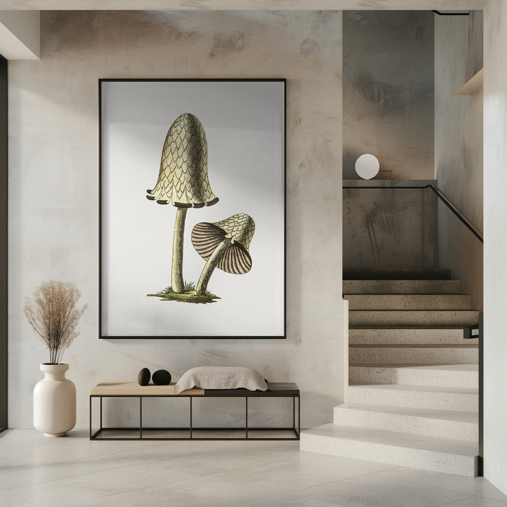 Vintage Inky Cap eetbare paddenstoel | Poster