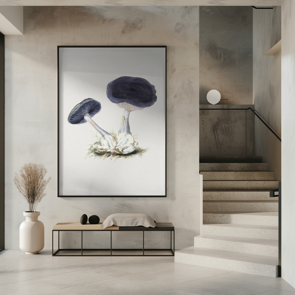 Vintage Violet Webcap-paddestoel | Poster