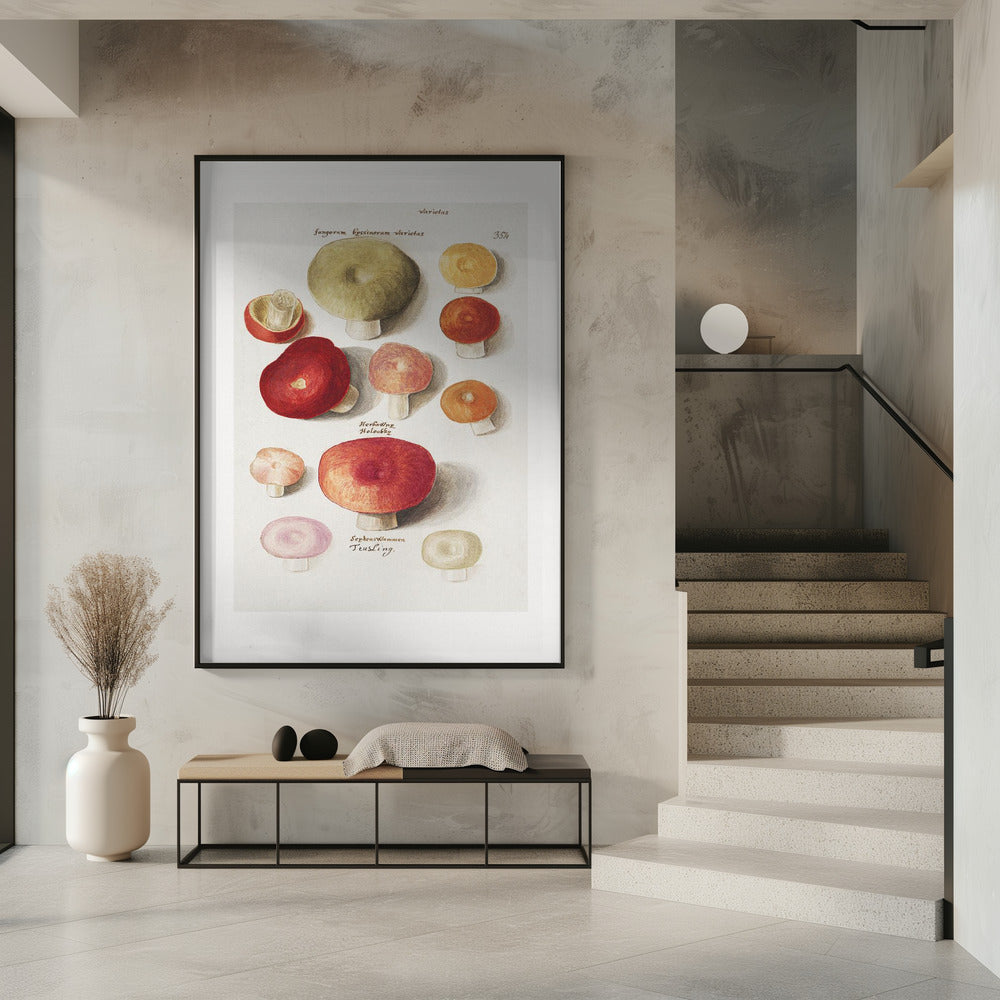 Boleten, Boletales staand | Poster