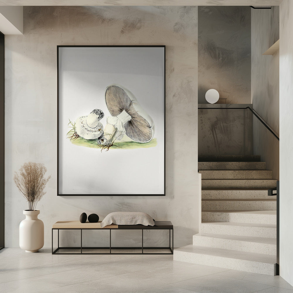 Handgetekende staande paddenstoel van een paard | Poster