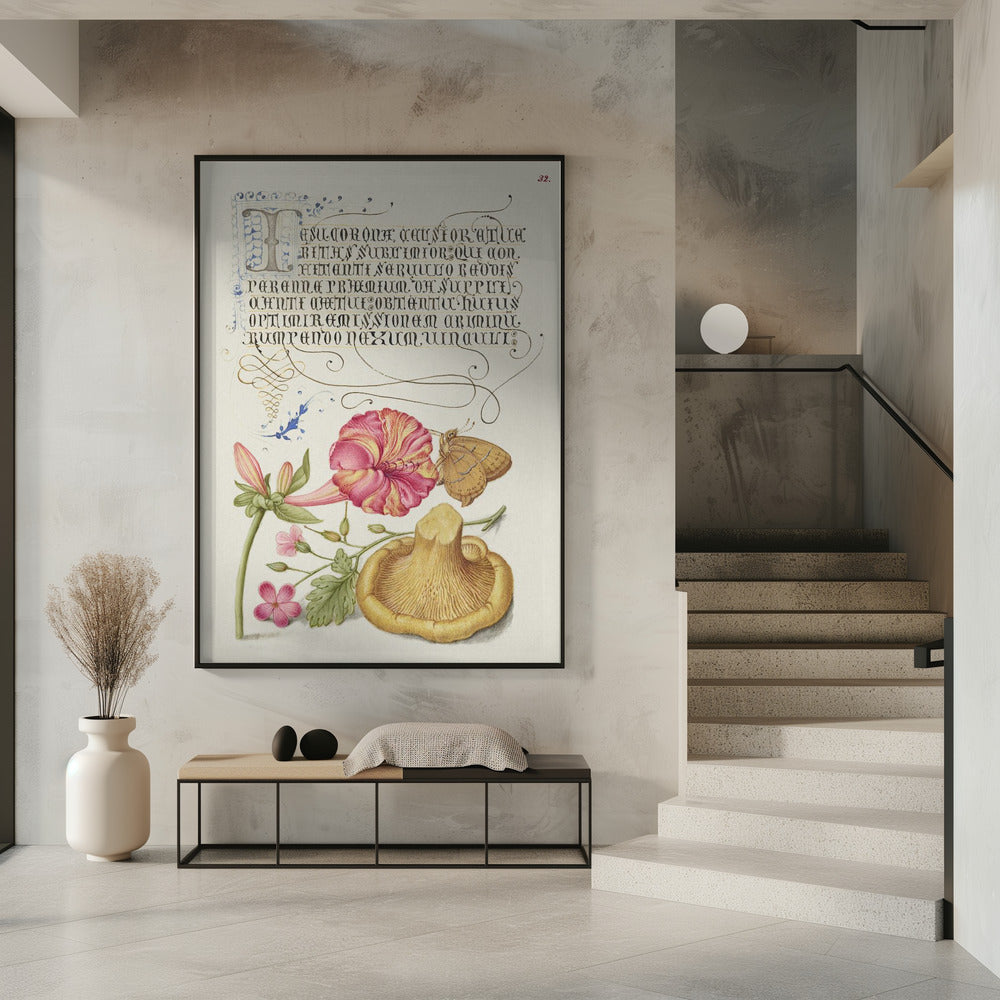 Mira Calligraphiae Monumenta | Poster