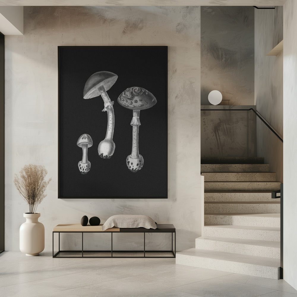 Amanita Muscaria Black Backgound BW | Poster