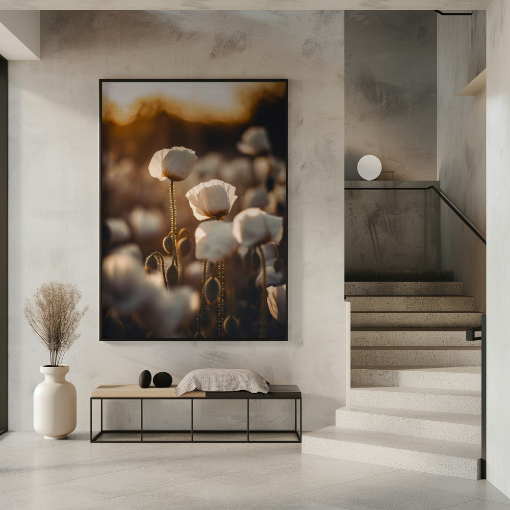 Gouden Bloeiende Dageraad | Poster