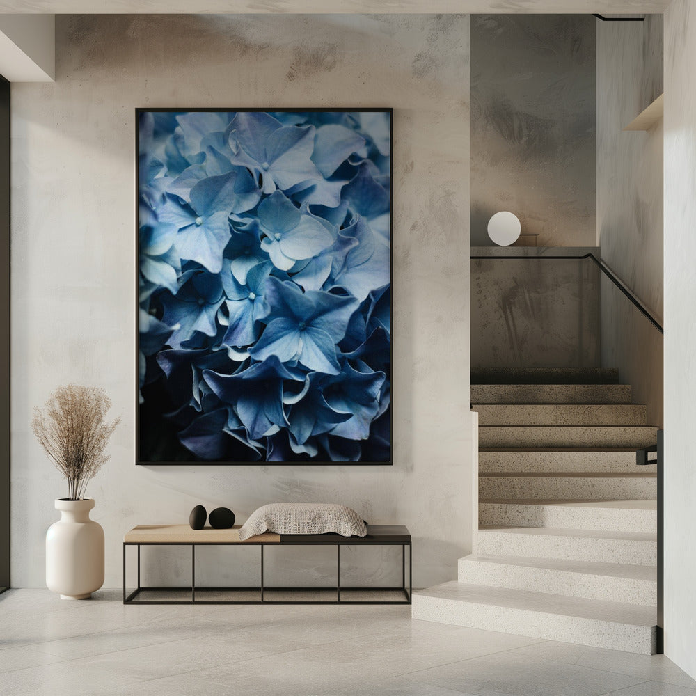 Vibrant Blue Hydrangeas | Poster