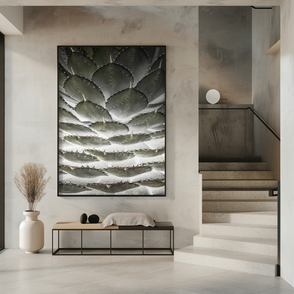 Spiral Succulent | Poster