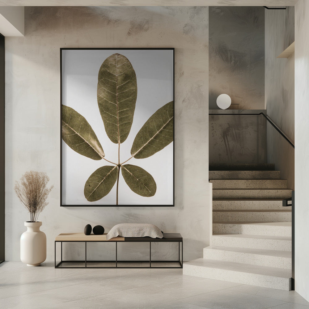 Vijfbladige Harmonie | Poster