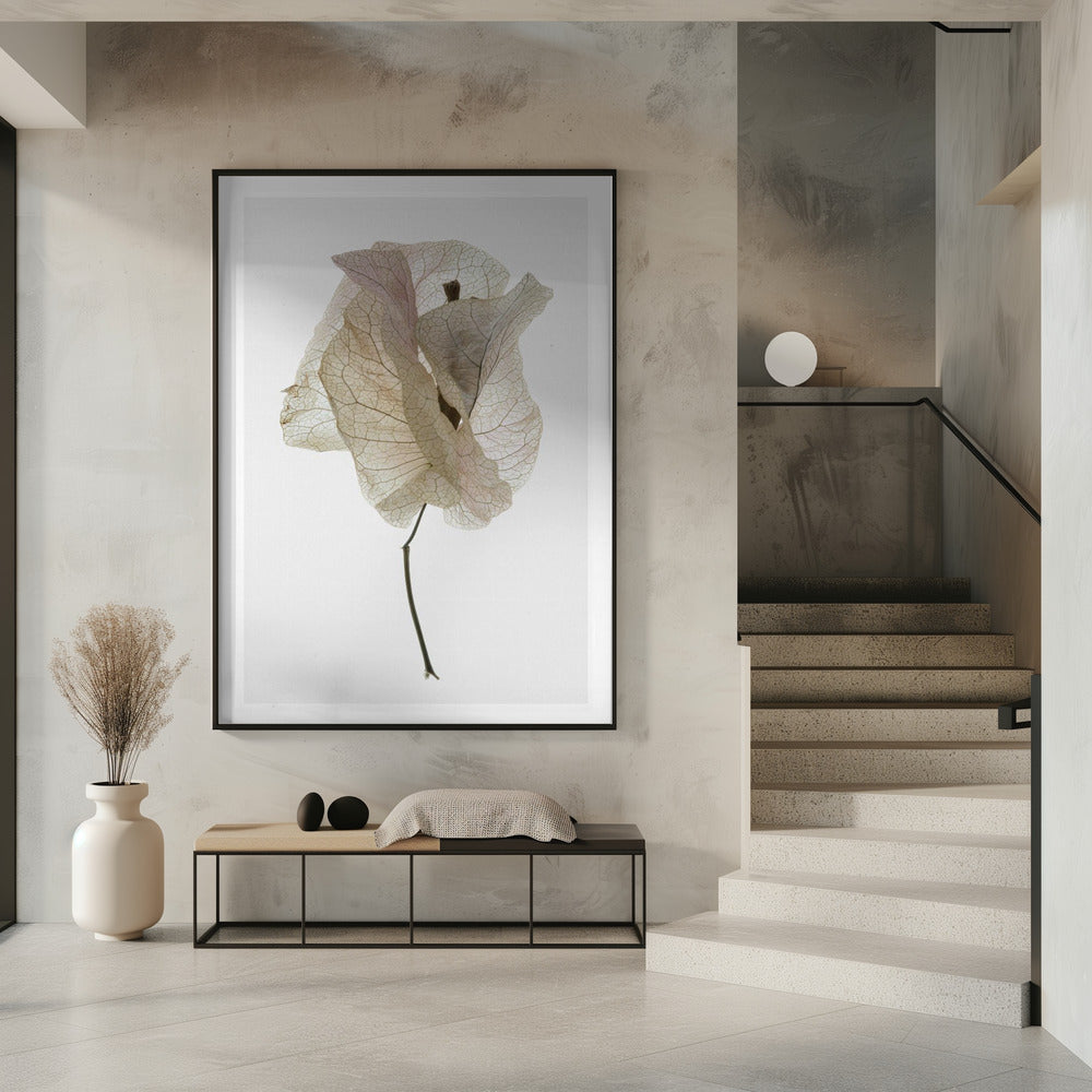 Bloemblaadjesfluistering | Poster