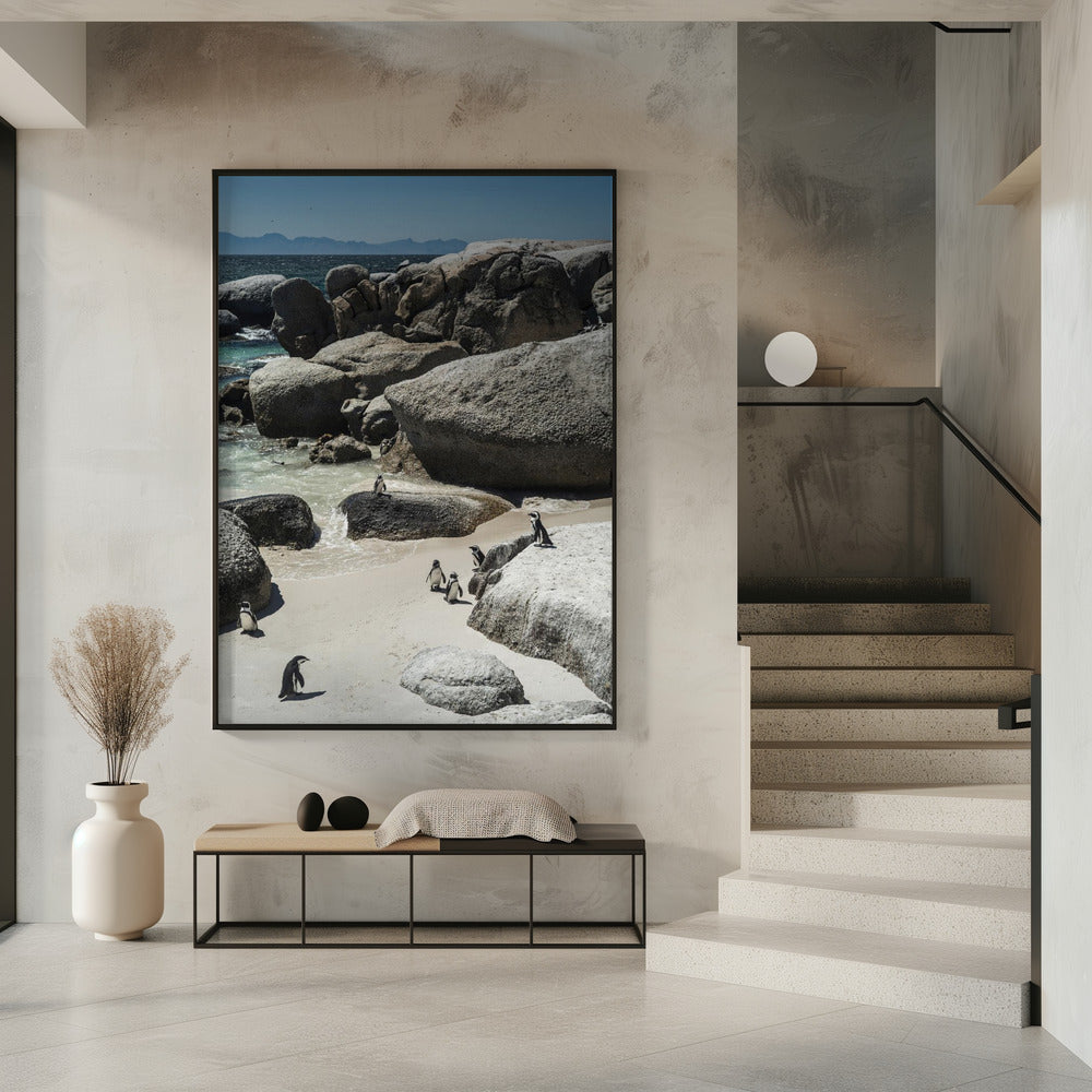 Pinguïnbaai Sereniteit | Poster