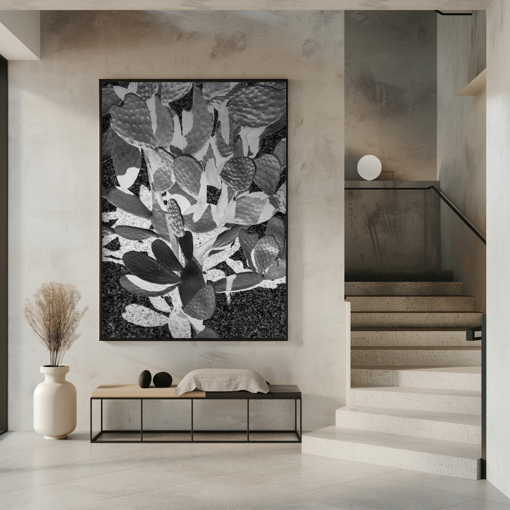 Stekelige patronen | Poster