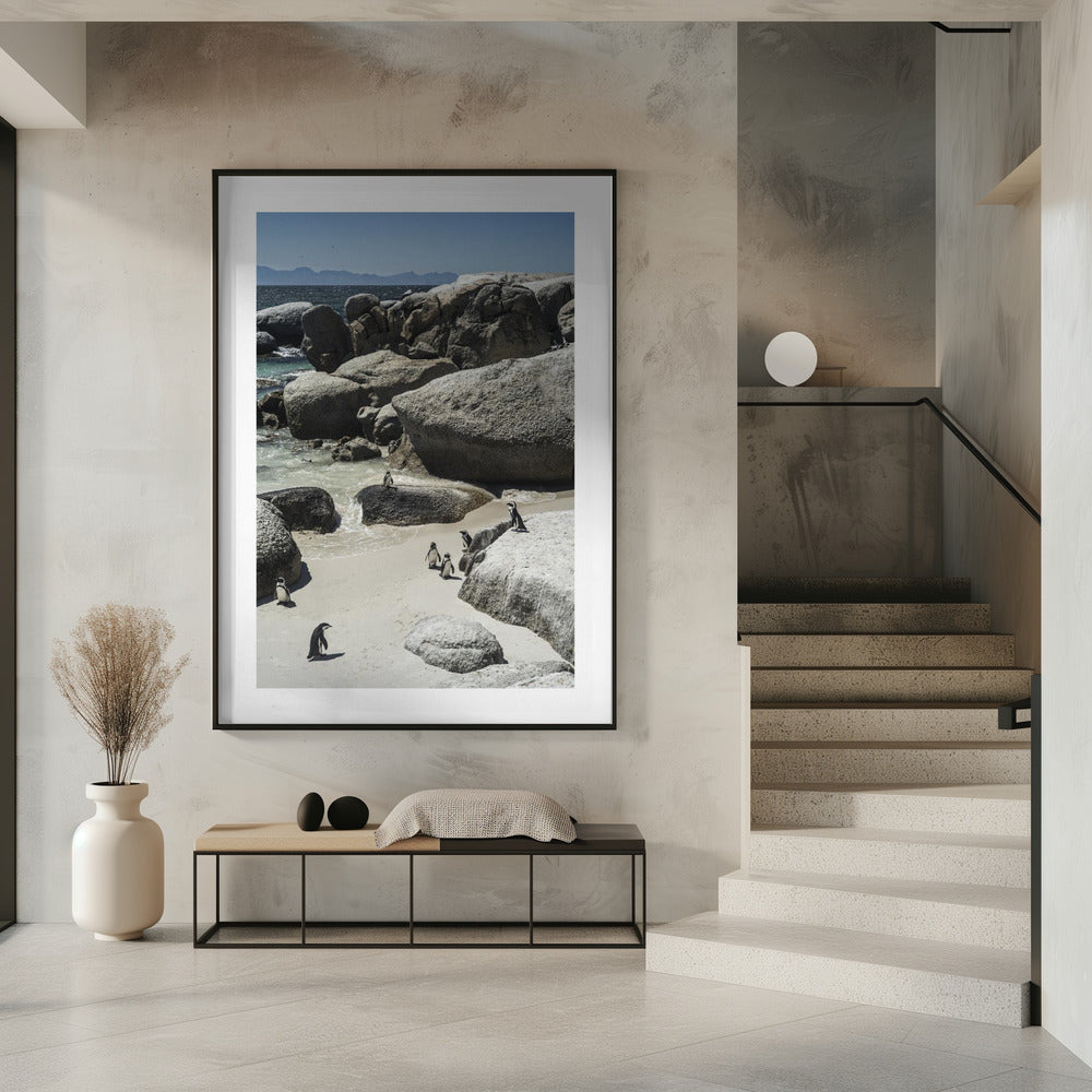 Kustwandeling van pinguïns | Poster