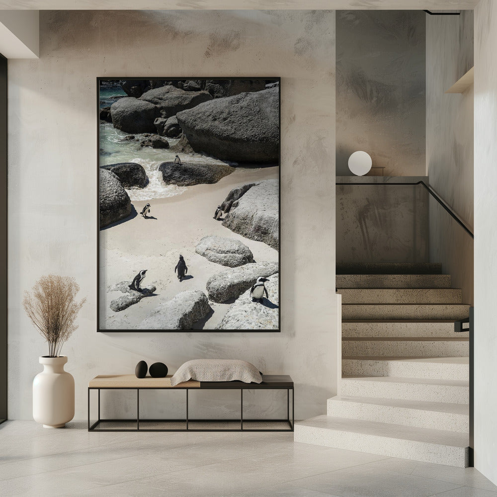 Pinguïnstrandwandeling | Poster