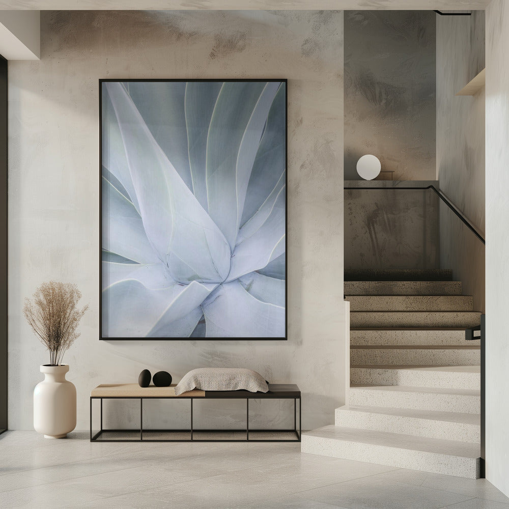 Silvery Succulent | Poster