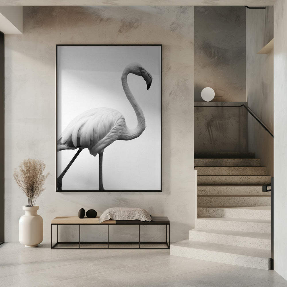 Sierlijk silhouet | Poster