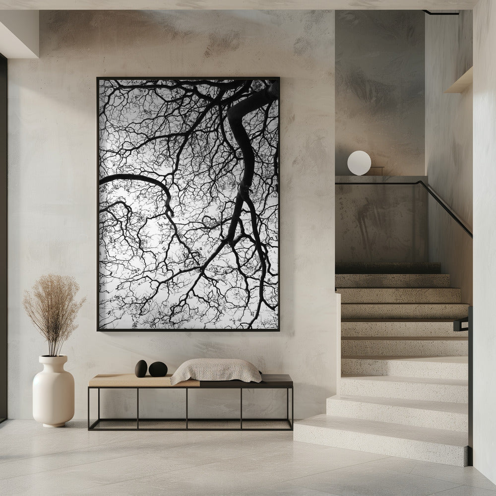 Branches' Dance | Poster