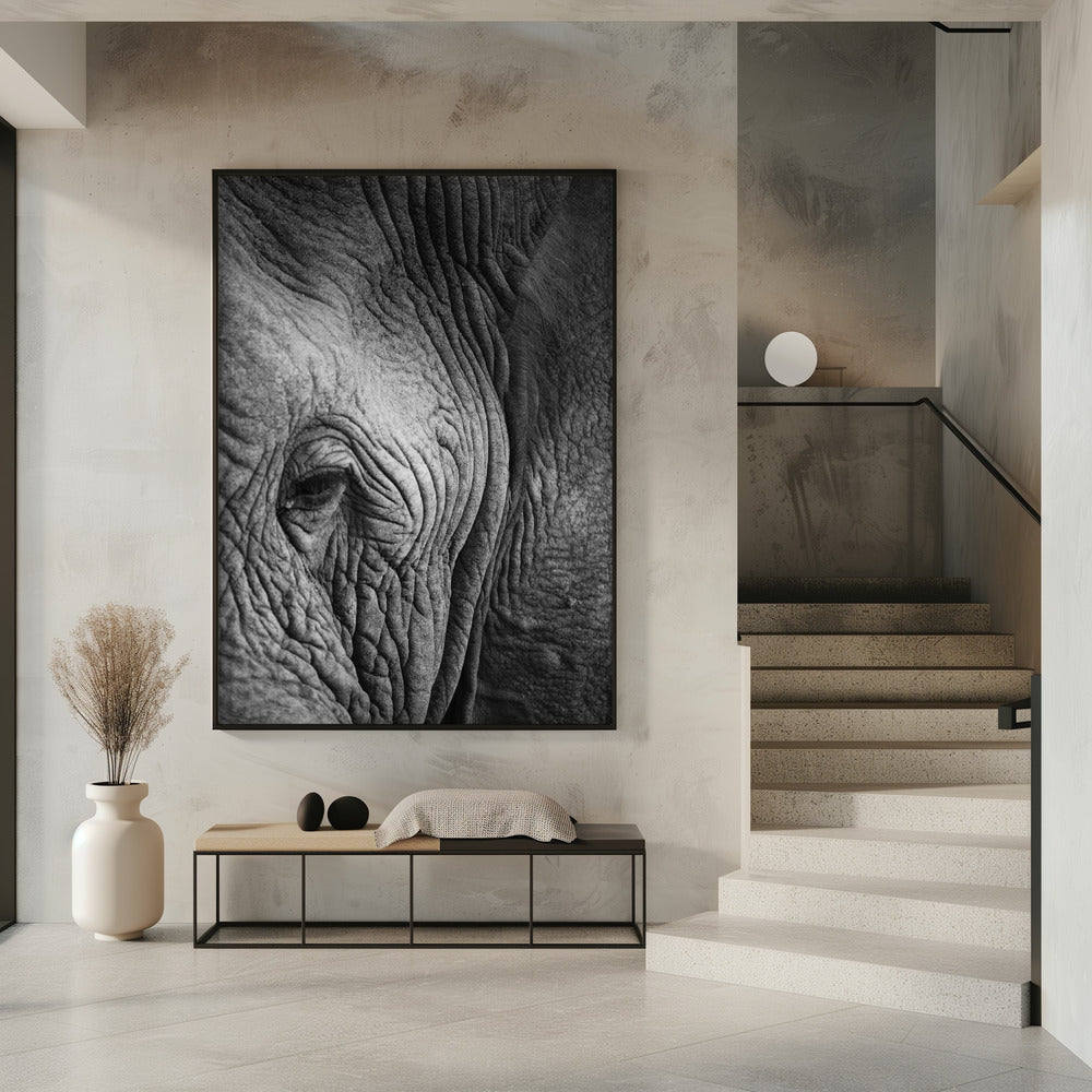 Wisdom's Wrinkles | Poster