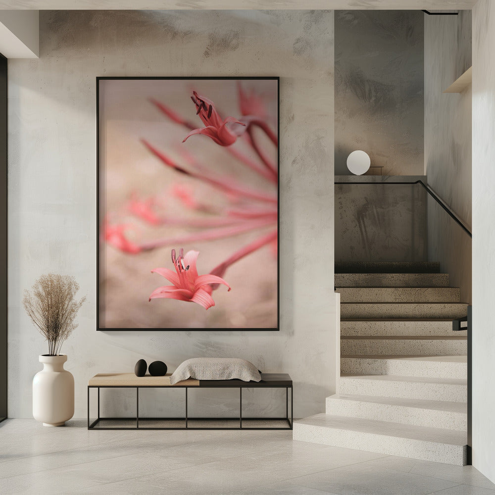 Bloemblaadjes in focus | Poster