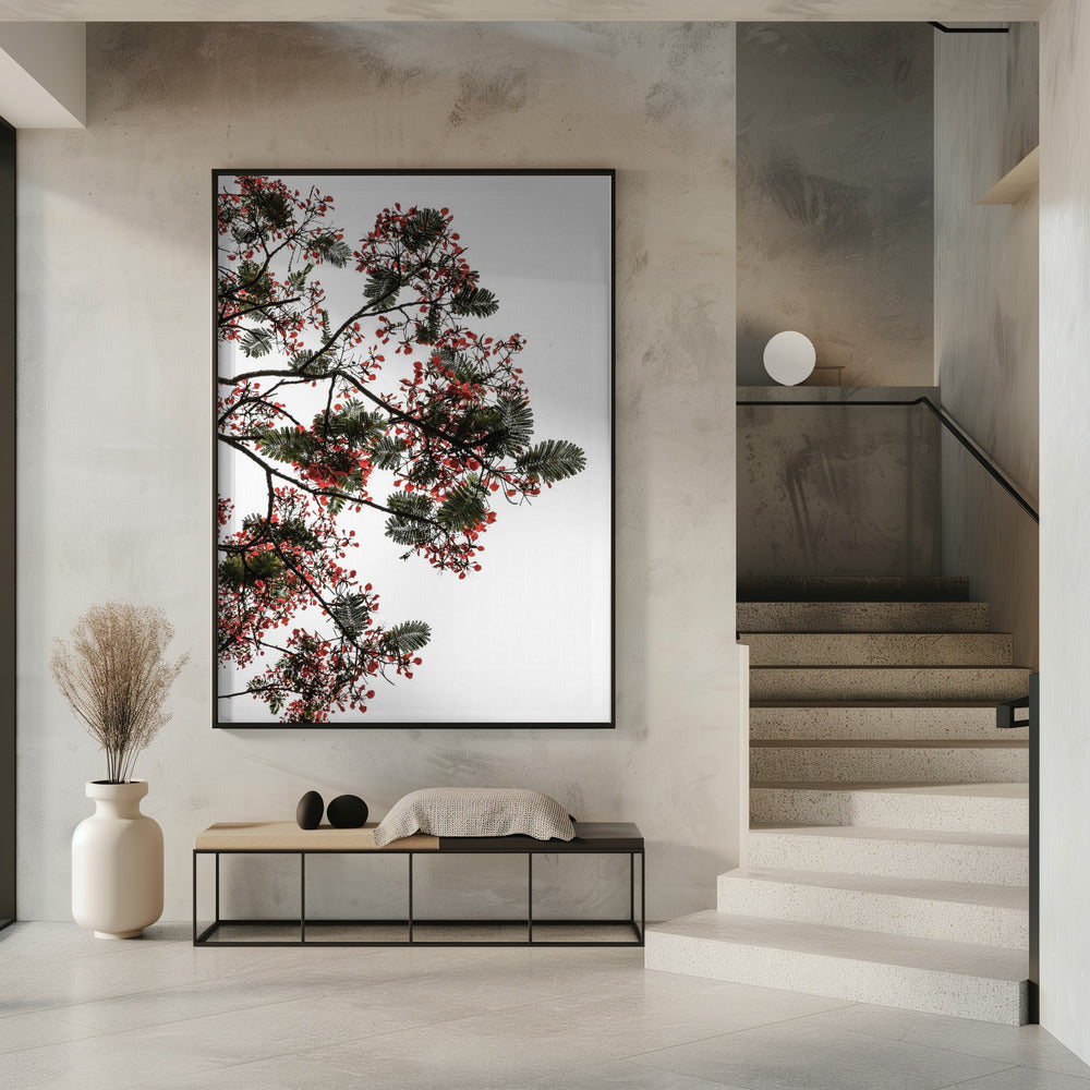 Bloesemluifel | Poster