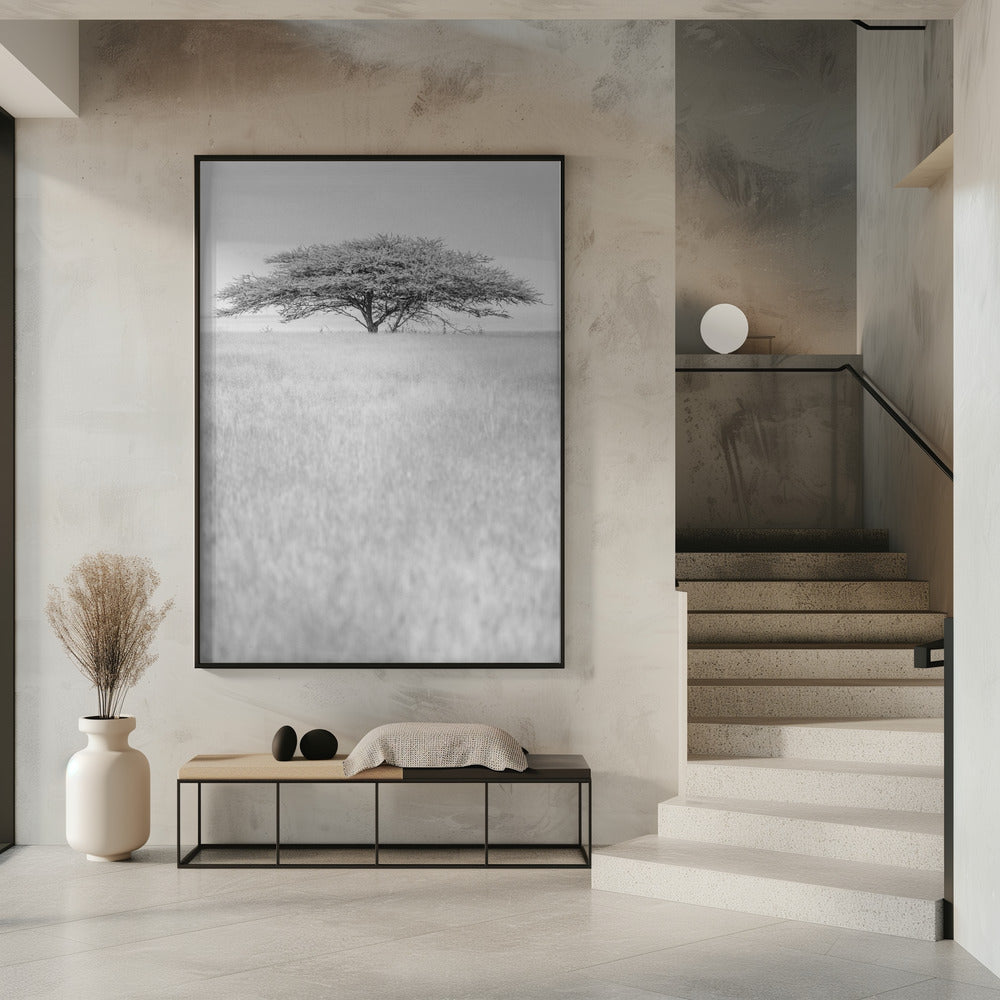 Lone Acacia Dream | Poster