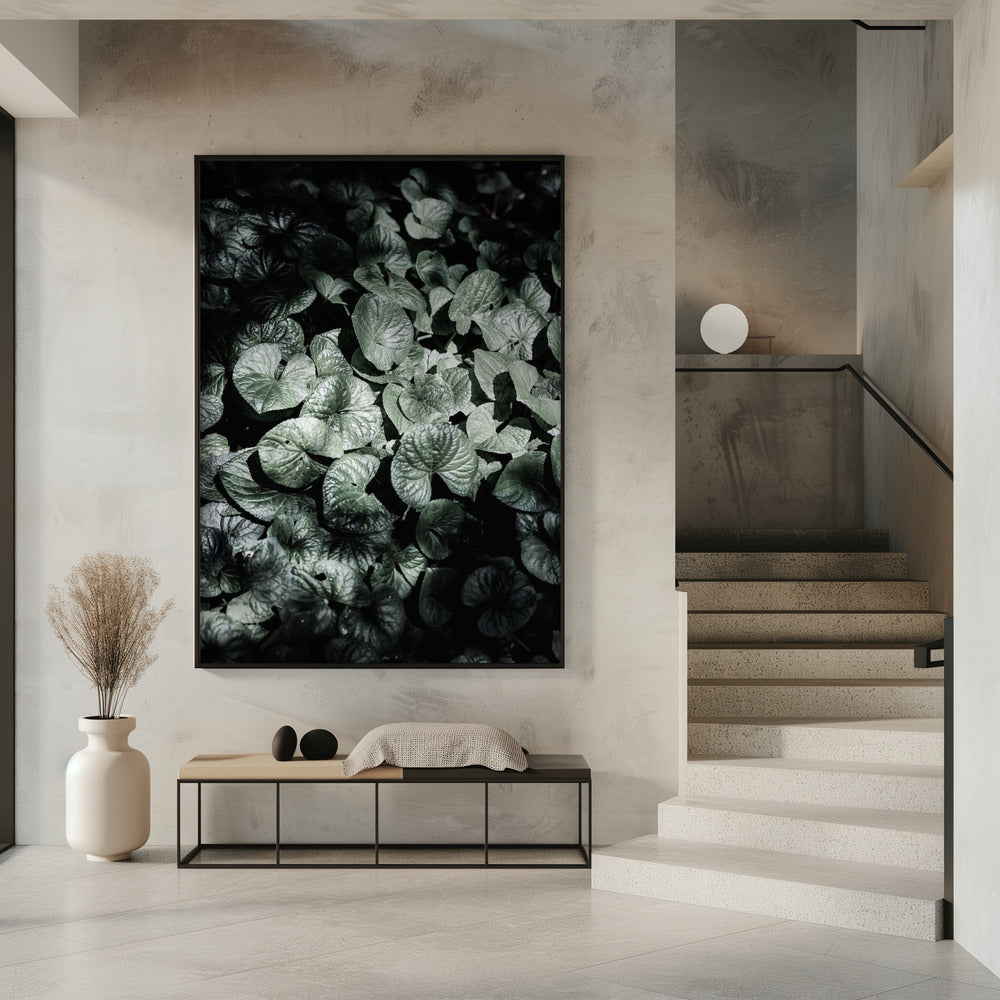 Bladschaduwen | Poster