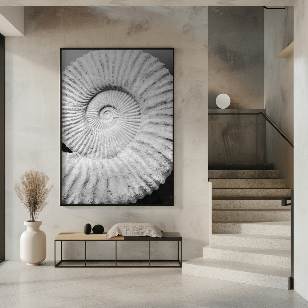 Ancient Spiral Dreams | Poster