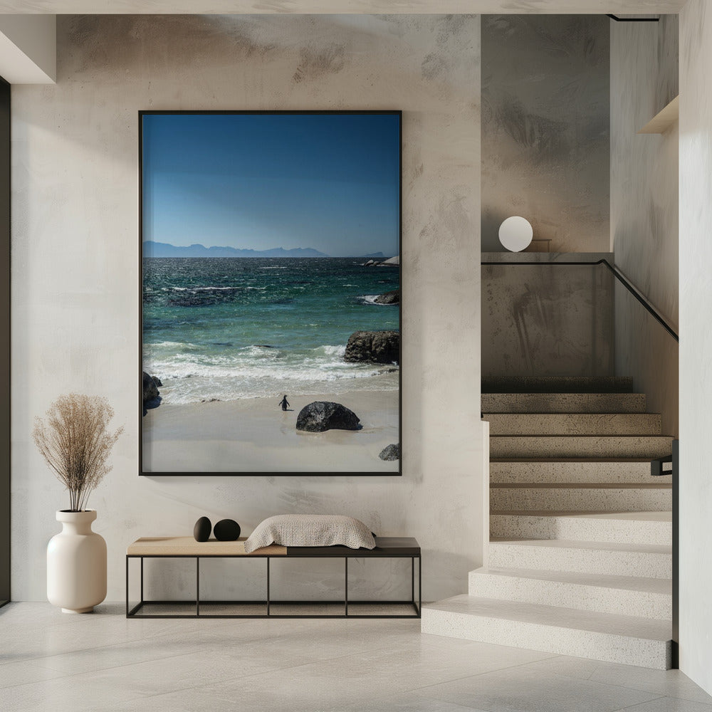 Pinguïnstrandwandeling | Poster