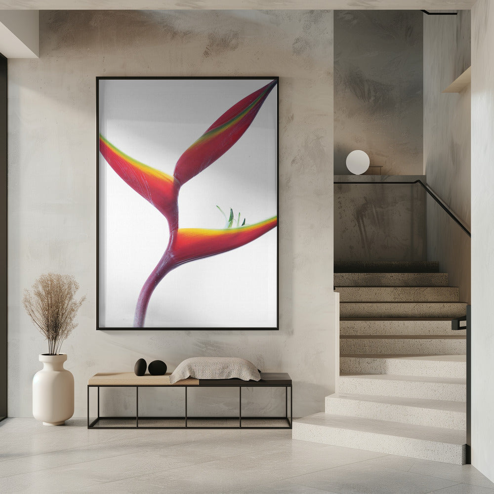 Tropische elegantie | Poster