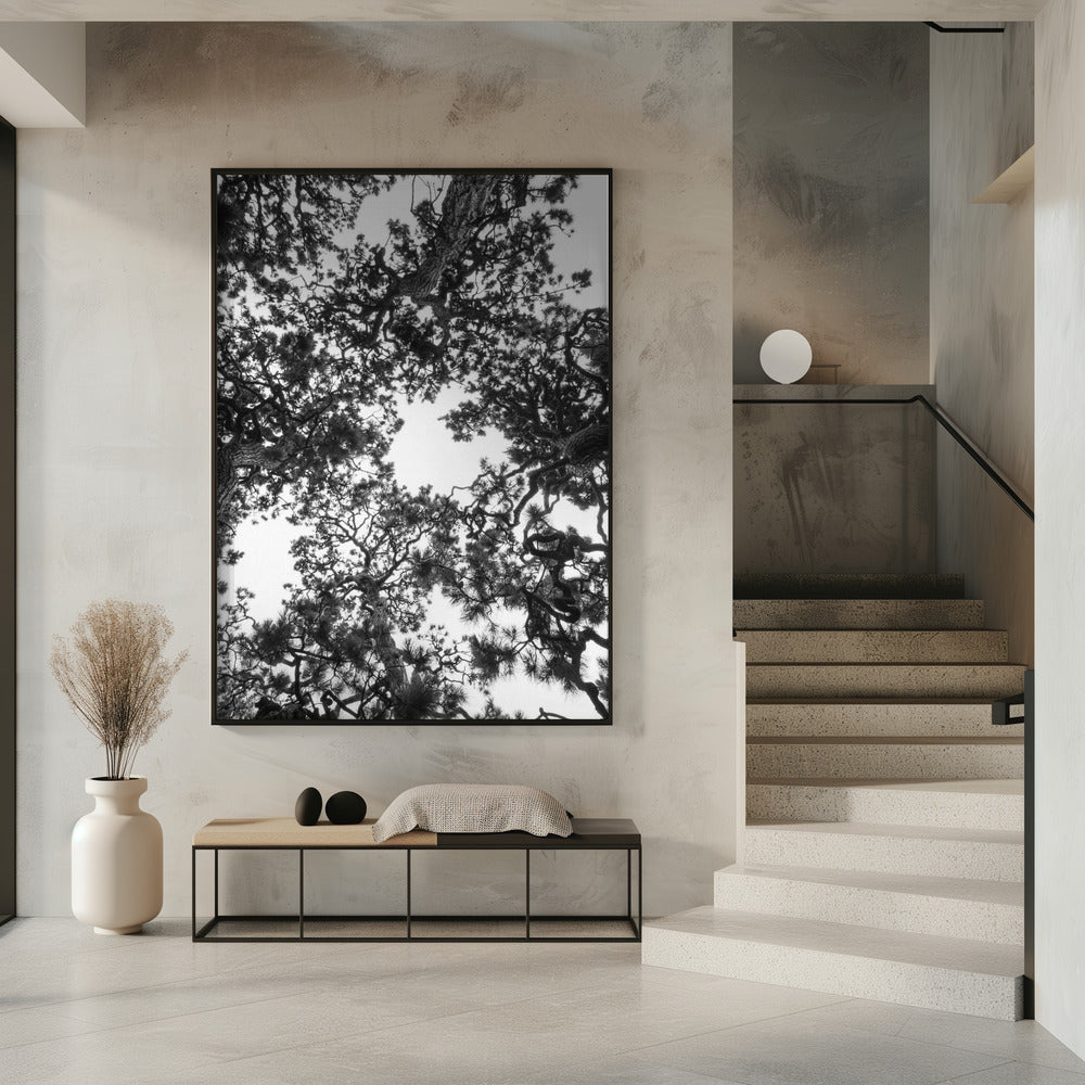 Luifelsymfonie | Poster