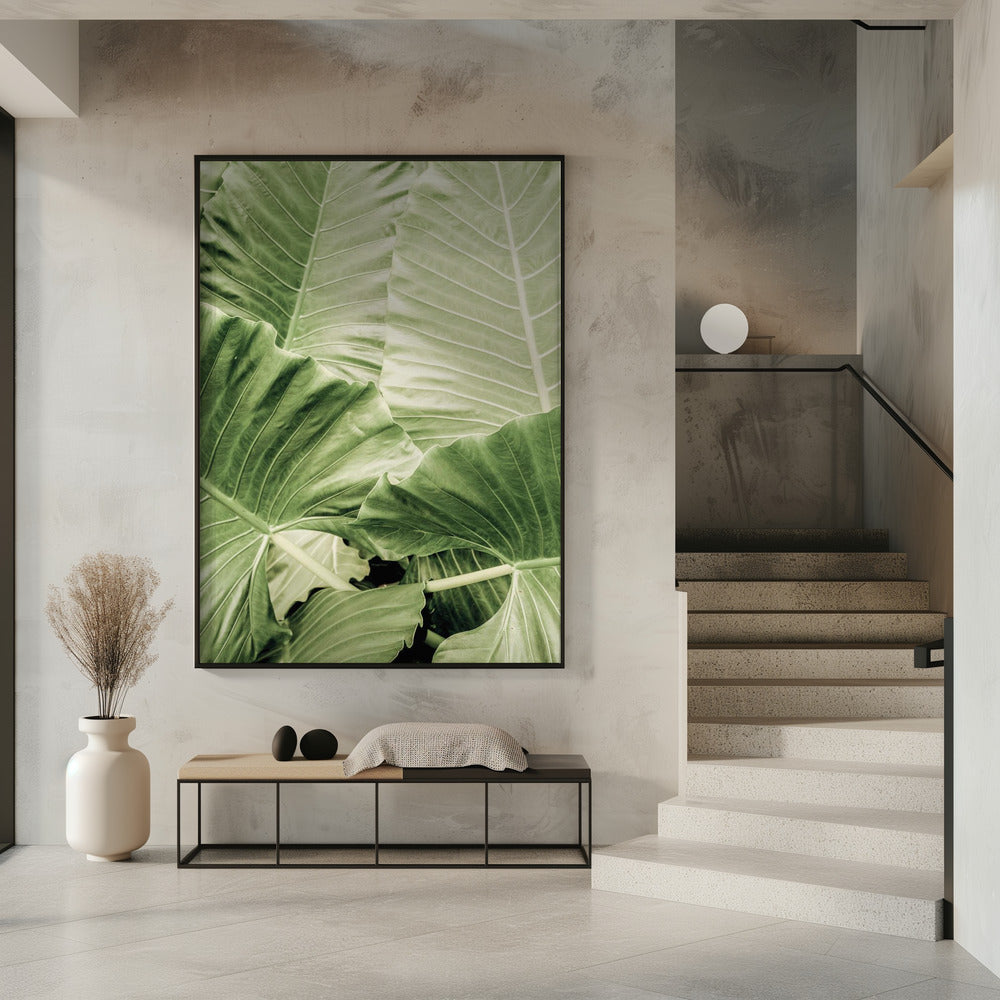 Groen gebladerte | Poster