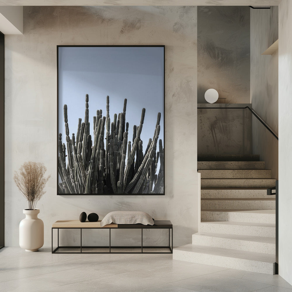 Cactus Symphony | Poster