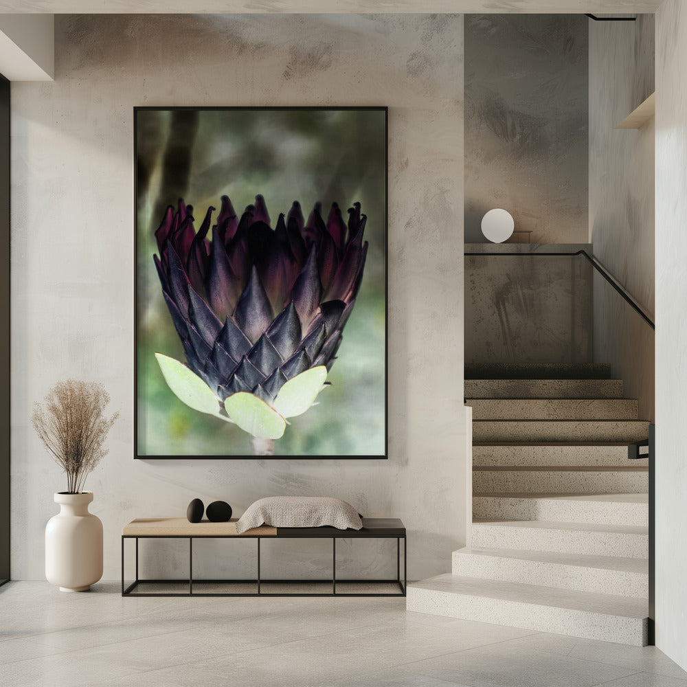 Schaduwrijke Bloesem | Poster