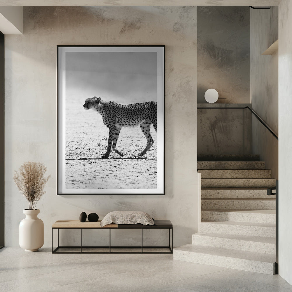 Cheetah's Stride | Poster