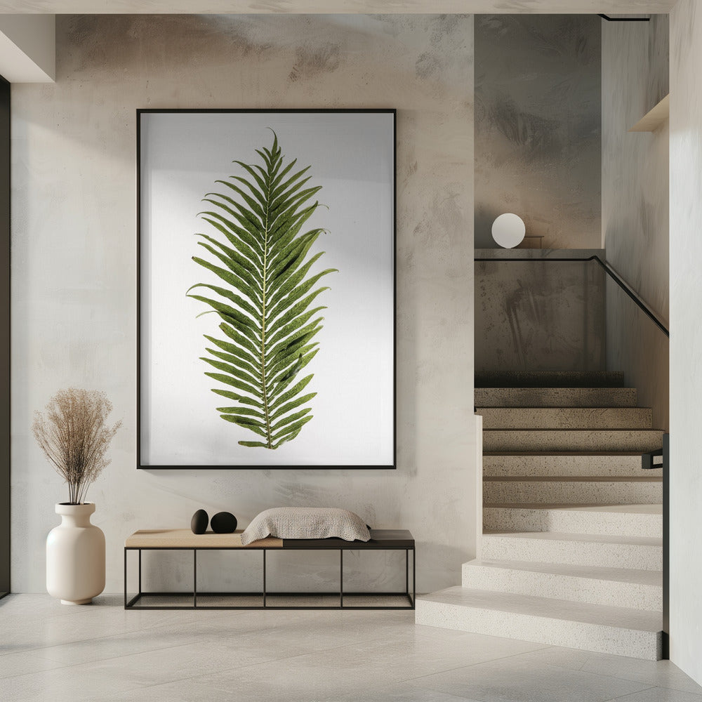 Fern Elegance | Poster