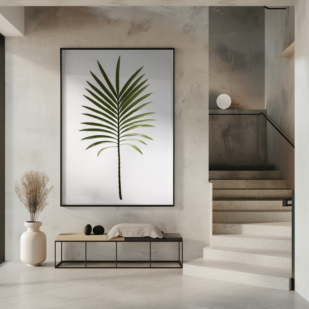Groene varen | Poster