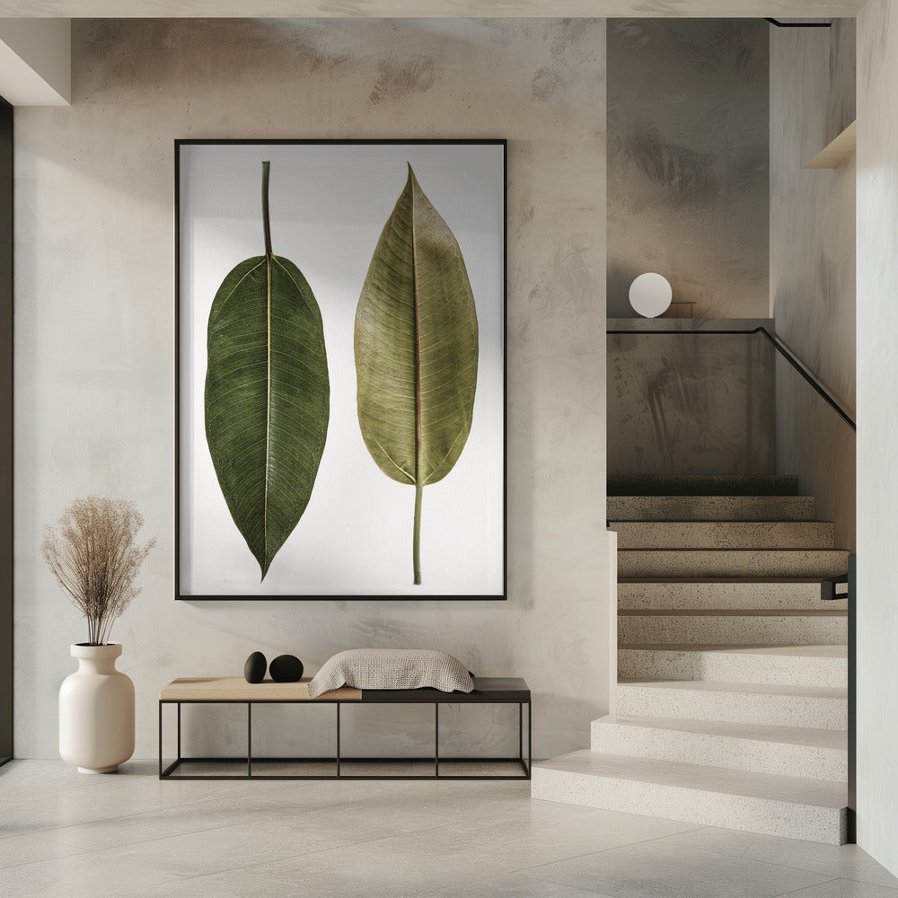 Dual Leaf Elegance | Poster