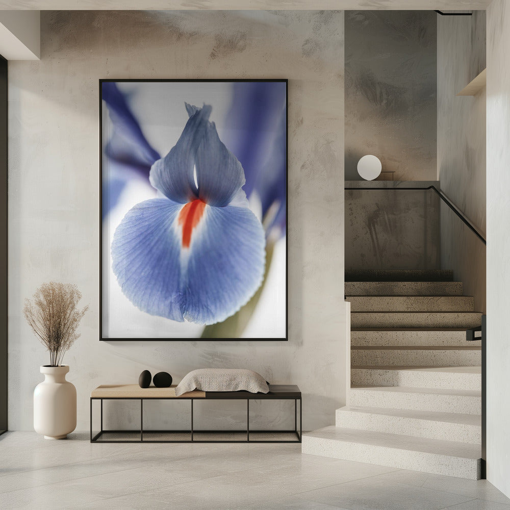 Bloesem Fluister | Poster