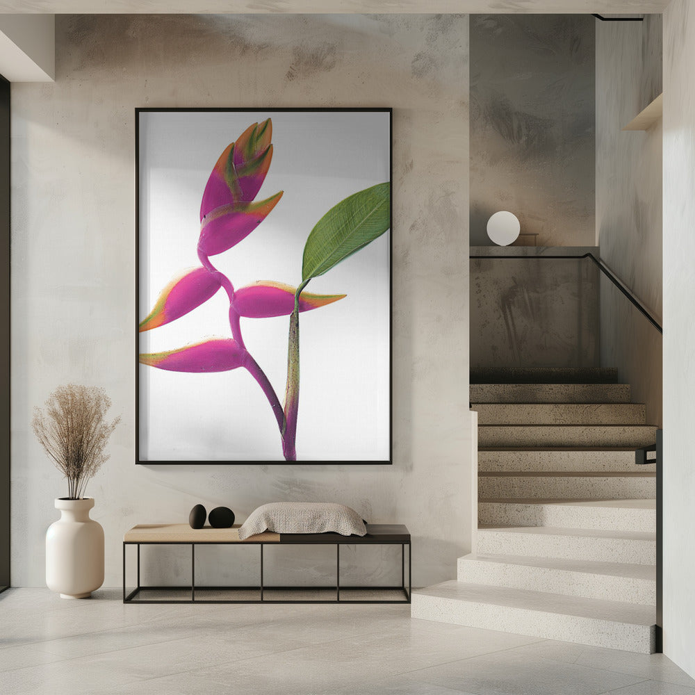 Tropische elegantie | Poster