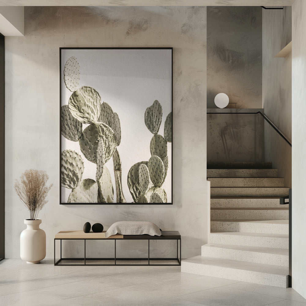 Cactus Serenity | Poster